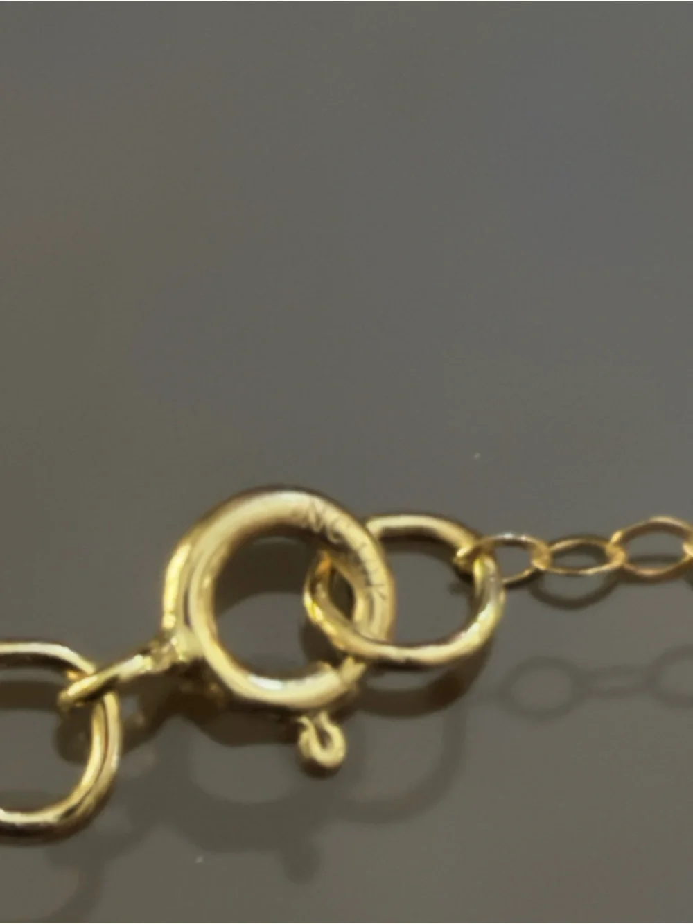 Delicate 10 KT Gold Chain Necklace